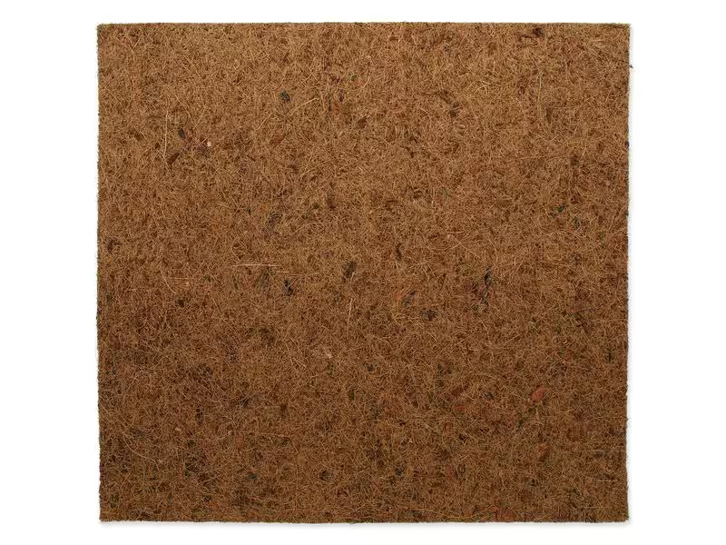 Repti Planet Coco Hintergrund 50 x 50 cm