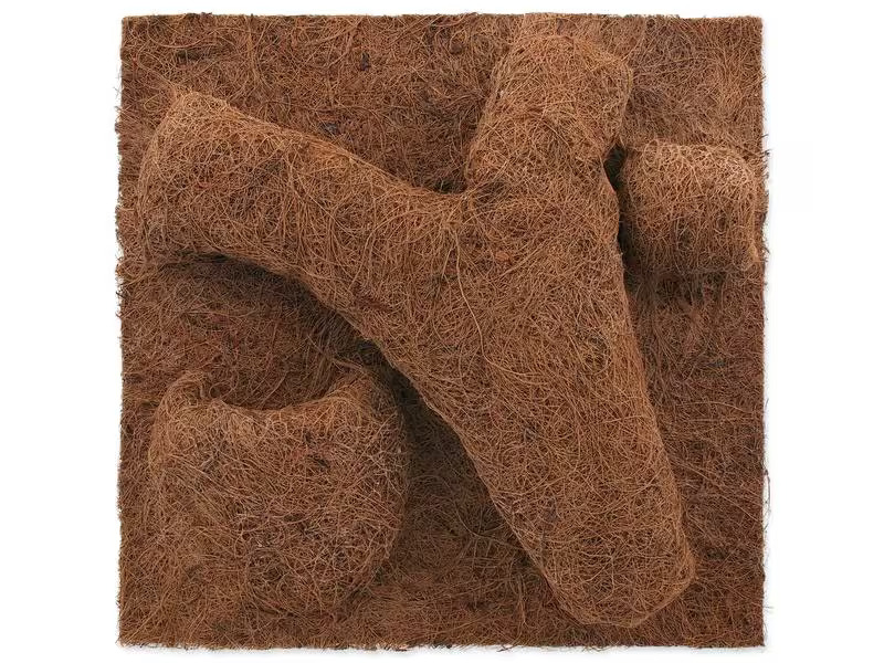 Repti Planet Coco Pflanzgefäss 30 x 30 cm