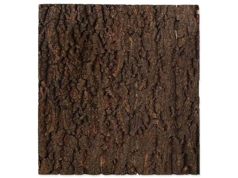 Repti Planet Kork-Rück Wand 43.5 x 41 x 2 cm