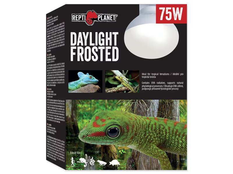 Repti Planet Terrarienlampe Daylight Frosted 75 W