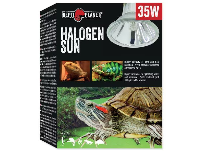Repti Planet Terrarienlampe Halogen Spot 35 W