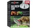 Repti Planet Terrarienlampe Halogen Spot 35 W
