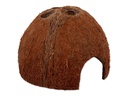 Repti Planet Coco Schale S