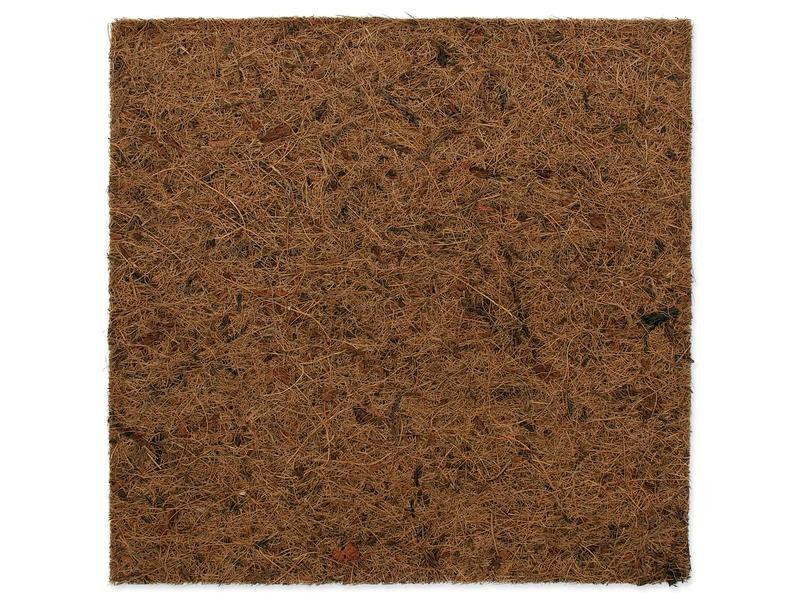 Repti Planet Coco Hintergrund 30 x 30 cm