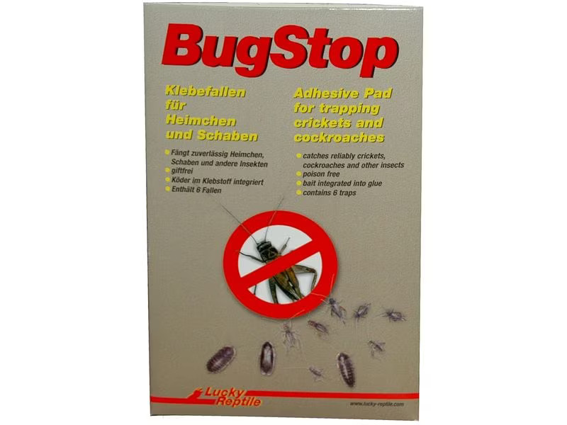 Lucky Reptile Bug Stop Heimchen Klebefalle, 6 Stück