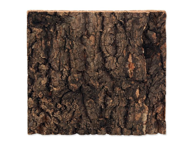 Repti Planet Kork-Rück Wand 19 x 17.3 x 2 cm