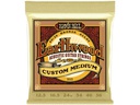 Ernie Ball Gitarrensaiten 2005 Earthwood Bronze – Custom Medium 12.5-56