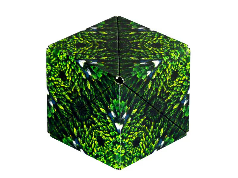 Shashibo Shashibo Cube Forest