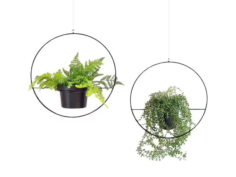 Wallxpert Blumenampel 2er Set, Schwarz