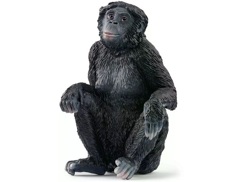 Schleich Spielzeugfigur Wild Life Bonobo Weibchen