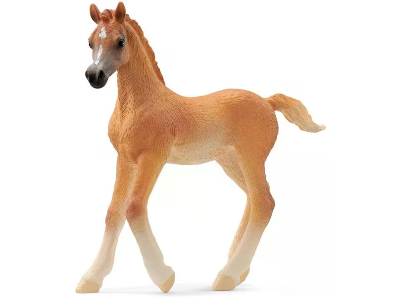 Schleich Spielzeugfigur Horse Club Araber Fohlen