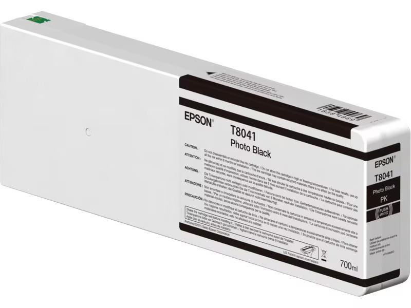 Epson Tinte T804100 Photo Black