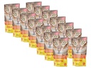 Josera Soup Huhn mit Karotte &amp; Spinat 16 x 70g