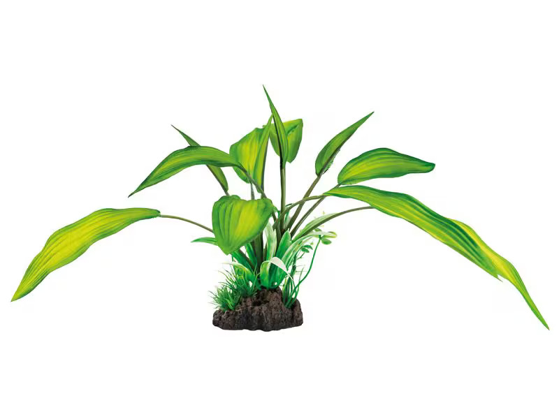 SuperFish Kunstpflanze Cryptocoryne, 25 cm