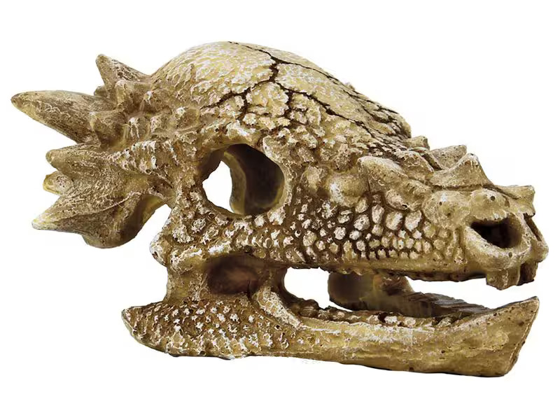 SuperFish Dekoration Schädel T-Rex M