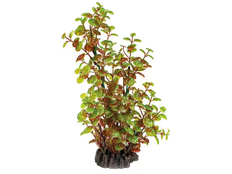 SuperFish Kunstpflanze Rotala, 25 cm