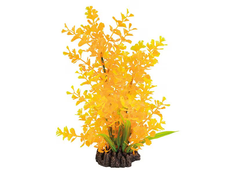 SuperFish Kunstpflanze Ludwigia Orange, 25 cm