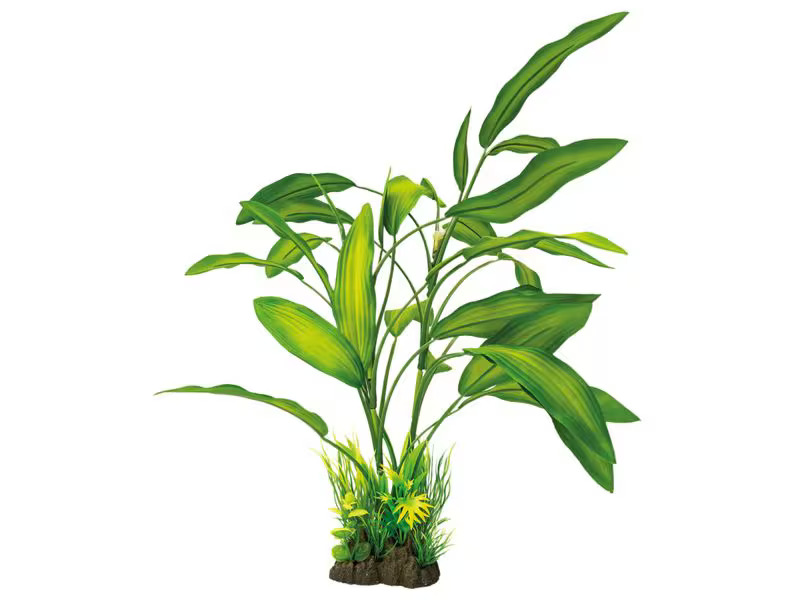 SuperFish Kunstpflanze Cryptocoryne, 40 cm