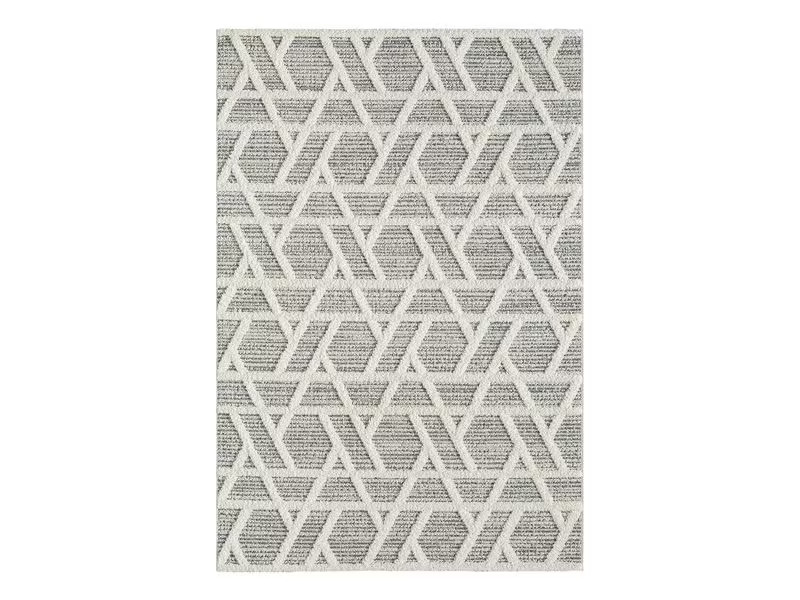 Conceptum Hypnose Teppich Sevilla 5508 120 cm x 180 cm, Grau