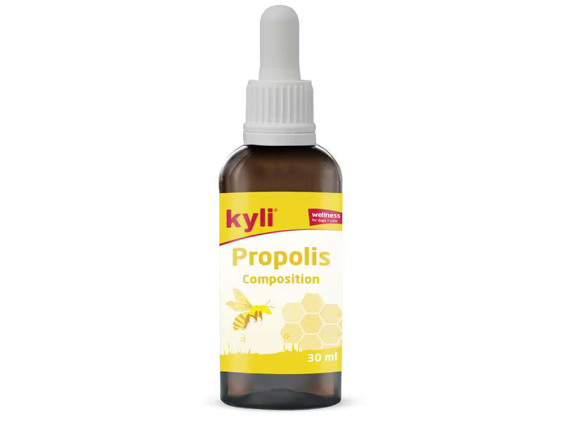 kyli Hunde-Nahrungsergänzung Propolis Composition, 30 ml