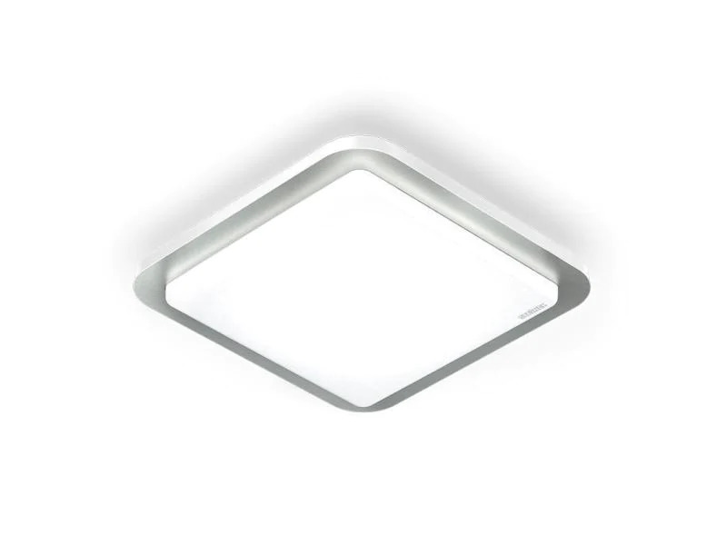 Steinel Deckenleuchte RS D2 LED, Silber