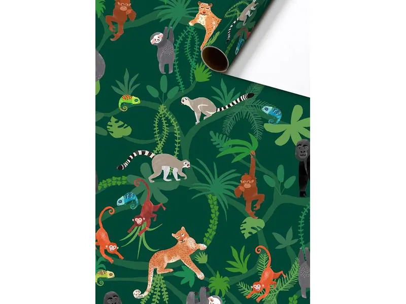 Stewo Geschenkpapier Lauro 1 Stück, Dunkelgrün, 70 cm x 2 m