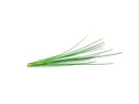 Click and Grow Samen Schnittlauch