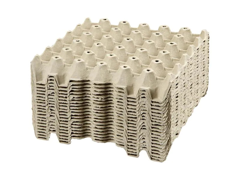 Creativ Company Papp-Schachtel Eier 29 x 29 x 4 cm 20 Stück