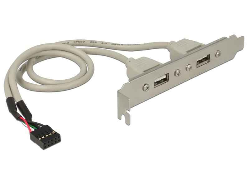 Delock Bracket 2x USB2.0 Pin Header intern