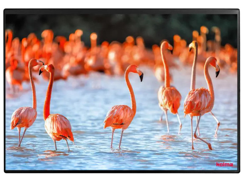 Kolma Schreibunterlage Undercover Poster Flamingo, 50 x 34 cm