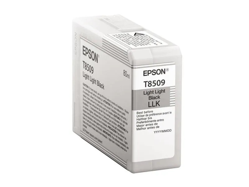 Epson Tinte C13T850900