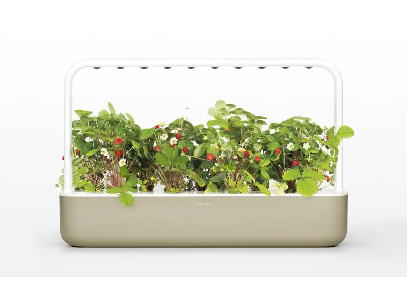 Click and Grow Kräutertopf Smart Garden 9 Beige