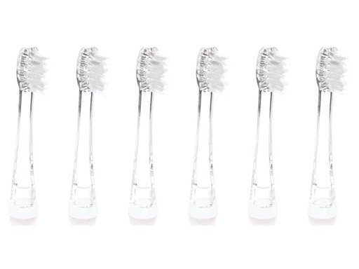 [90101567 1110842] Ailoria Zahnbürstenkopf Bubble Brush 6 Stück