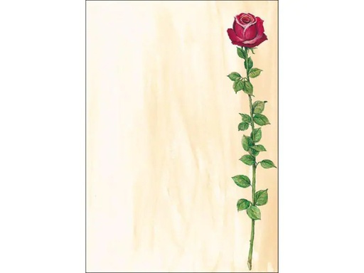 [90101784 1039707] Sigel Motivpapier Rose Bloom A4, 25 Blatt