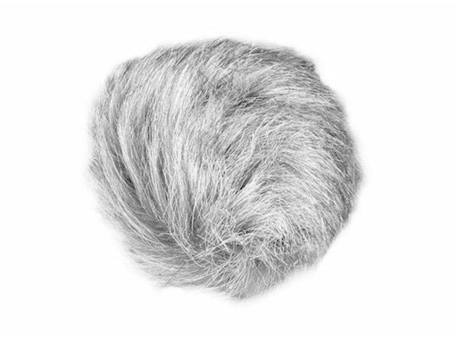 [90010289 716839] Zoom Zubehörset WSU-1