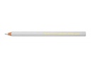 Caran d'Ache Farbstifte Maxi Metallic Silber