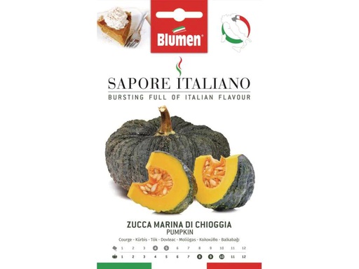 [90105524 848216] Blumen Samen Kürbis Marina di Chioggia