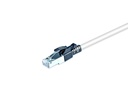 Wirewin Patchkabel Securelock Cat 6A, S/FTP, 0.3 m, Grau