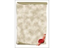 Sigel Motivpapier DP521 Urkundenrolle, A4, 12 Blatt