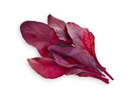 [90115051 996921] Click and Grow Samen Roter Mangold