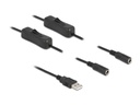 Delock USB-Kabel USB-AStecker zu 2x DC 5.5 x 2.1 mm Mit Schalter