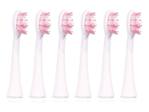 [90116597 1110838] Ailoria Zahnbürstenkopf Shine Bright Extra Clean Weiss, 6 Stück