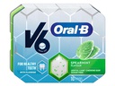V6 Kaugummi Oral-B Spearmint 17 g