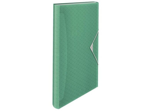 [90117815 738935] Esselte Fächermappe COLOUR‘ICE Grün