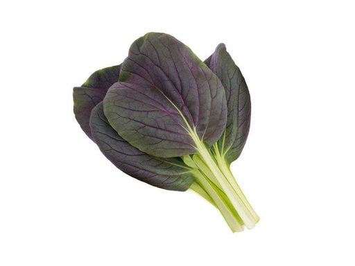 [90119813 996923] Click and Grow Samen Roter Pak Choi