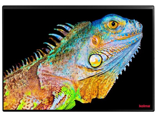 [90121860 886743] Kolma Schreibunterlage Undercover Poster Exotic 50 x 34 cm