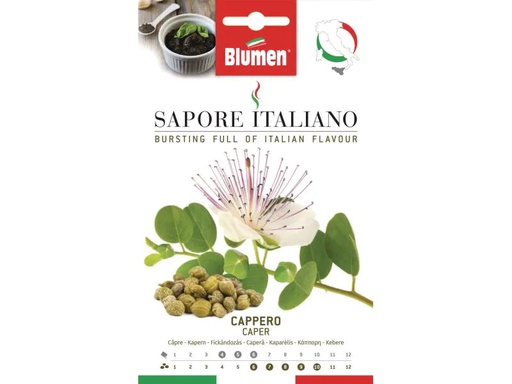 [90122005 848195] Blumen Samen Kapern