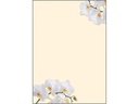 Sigel Motivpapier White Orchid A4, 50 Blatt