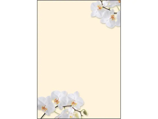 [90127790 1039715] Sigel Motivpapier White Orchid A4, 50 Blatt