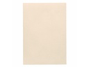 Artoz Bastelpapier 1001 A4 220 g/m² Ivory, 5 Blatt